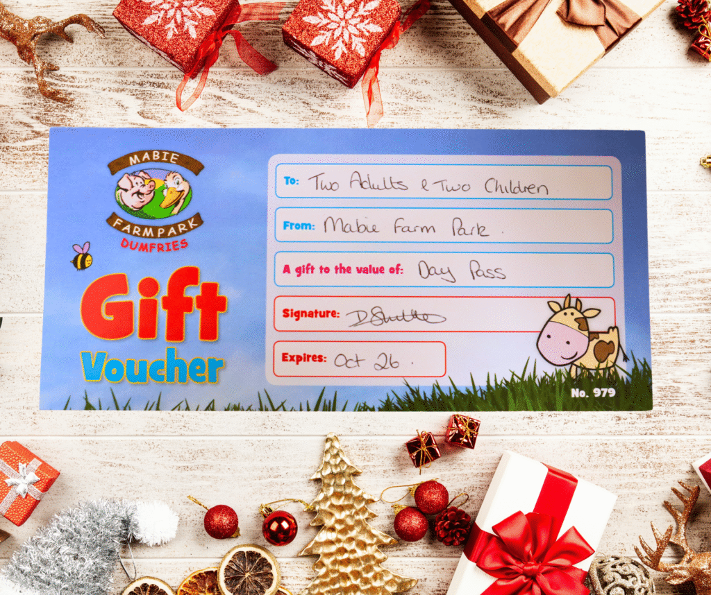 Mabie Farm Park Voucher